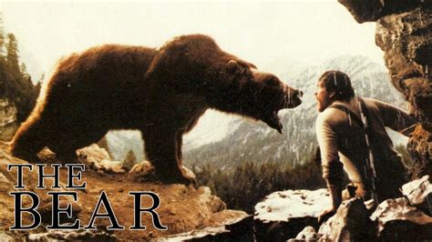 the bear 123movies